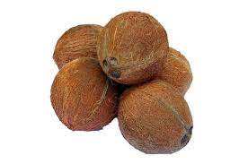 <b>Fresh</b> Quality Dehusked <b>Coconuts</b> For Sale - Product Image 5