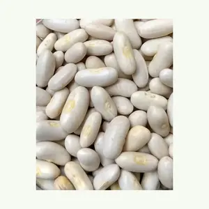 Hete Verkopende Goede Kwaliteit Gezonde Lange Witte Suikerboon Droge Witte Bruine Bonen Natuurlijke Hoge Kwaliteit Gezond