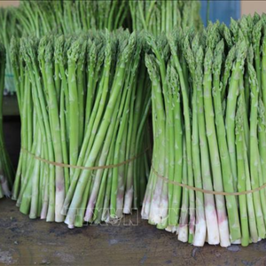 หน่อไม้ฝรั่งแช่แข็งพรีเมี่ยม | 100% ธรรมชาติ | คุณภาพสดในฟาร์ม - Product Image 3