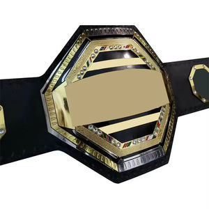 Fabricant de ceintures de championnat personnalisées avec logo pour la boxe, le taekwondo, le karaté-OEM, un matériau en alliage, un entraînement léger. - Product Image 3