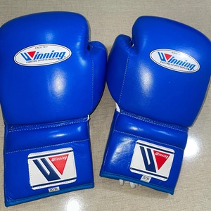 Guantes de boxeo de alta calidad de marca ganadora 8oz & 16oz PU Leather MMA & Boxing Sparring Guantes para entrenamiento Disponible en todos los colores - Product Image 3