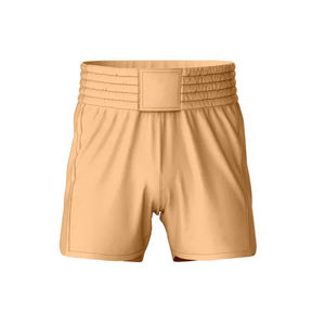 Transpirable Fighting Fitness Wear Hombres MMA Shorts Alta calidad Peso ligero Último diseño Hombres MMA Shorts en venta Servicio OEM - Product Image 2