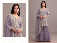 Faux Georgette lourde de style ethnique avec séquence et fil visqueux brodé en soie Autres accessoires ethniques