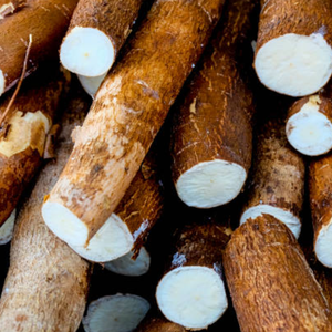 Yuca natural para consumo humano con precio competitivo de Vietnam con alta calidad - Product Image 4
