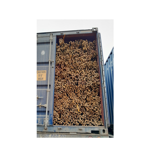 Poteau de bambou produit au Vietnam pour soutenir des projets de plantes grimpantes, d'aménagement paysager et d'éco-architecture - Product Image 1