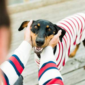 Sweat-shirt de rugby personnalisable Vêtements de sport de haute qualité pour les équipes de rugby Parfait pour l'entraînement et les vêtements décontractés - Product Image 1