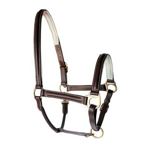 Licou de cheval rembourré en cuir confortable et Durable à vendre licou de cheval en cuir véritable - Product Image 6