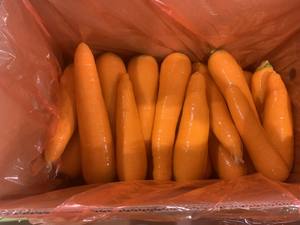 Fabricación de productos de zanahoria fresca con nueva cosecha de alta calidad para exportar zanahoria fresca - Product Image 2