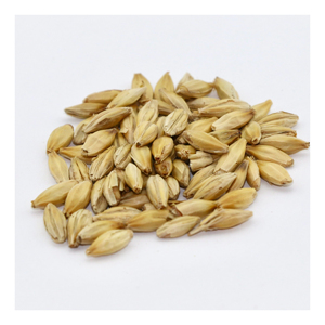 Options alimentaires riches en protéines pour les poissons et les porcs Type de grains et de semences Orge maltée en vrac pour la nutrition animale durable - Product Image 6