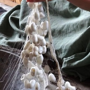 รังไหมสีขาวธรรมชาติสำหรับทอผ้าถักและผลิตภัณฑ์งานฝีมือที่ผลิตในเวียดนาม - Product Image 1