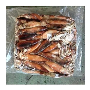 Calamar Illex Congelado - Compra al por Mayor de Calamar Illex para Procesamiento de Alimentos - Product Image 6