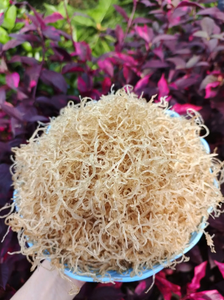 Bandes de peau de porc séchée de qualité exportation, approvisionnement direct d'usine à prix compétitif - Product Image 3