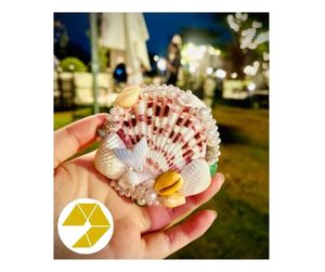 Espejo de concha marina artesanal de Vietnam, conchas marinas naturales, Mini espejo de concha marina para decoración de playa elegante, oferta limitada, espejo de mano a la venta - Product Image 1