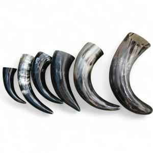 Juego de bebidas de cuerno de búfalo con soporte de hierro, técnica cruda, cuerno de ágata vikingo para cerveza, vino, calidad de exportación de World Craft Impex - Product Image 1