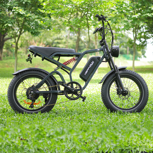 Livraison directe Happyrun Tank <span class=keywords><strong>G60</strong></span> Pro 2000W Moped Style Offroad avec livraison gratuite Mountain 20x4.0Fat Tire - Product Image 6