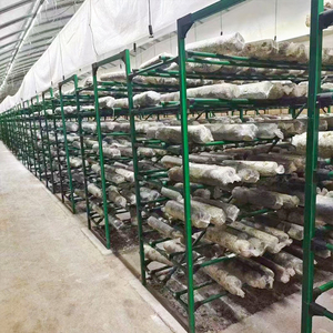 Système de culture de champignons multicouche pour l'agriculture verticale intérieure, étagères de culture intérieures pour shiitake, huîtres et reishi - Product Image 5