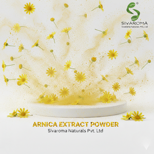 Poudre d'extrait d'arnica sauvage (qualité cosmétique) pour les marchés d'exportation des marques cosmétiques et de soins personnels - Product Image 5