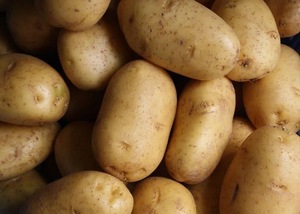 Patates douces fraîches de qualité supérieure, légumes frais les plus vendus - Product Image 4