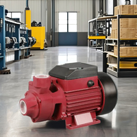 Pompe centrifuge auto-amorçante haute pression en acier inoxydable TECHNIC POWER 0,5/1,5/2 CV avec moteur à fil de cuivre pour usage industriel