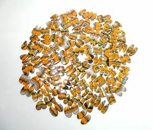 Par de cabujones de jaspe de abejorro Natural de alta calidad, piedras preciosas de cuarzo sueltas, proveedor de precios al por mayor de La India para la fabricación de joyas - Product Image 4