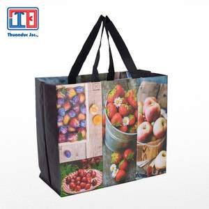 Fabricant PP tissé/non-tissé sac à provisions sac fourre-tout sac en toile 100% vierge du Vietnam Thuan Duc JSC - Product Image 4