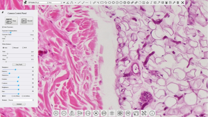 Microscope vidéo numérique monoculaire BestScope BS-1080BL3DHD6 LCD 2D/<span class=keywords><strong>3D</strong></span> avec vue latérale 2D ou <span class=keywords><strong>3D</strong></span> à 360° °   Observation de la rotation. - Product Image 2