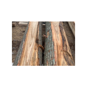 Troncos de castaño natural en venta a bajo precio, perfectos para aserraderos y uso en la fabricación de madera. - Product Image 6