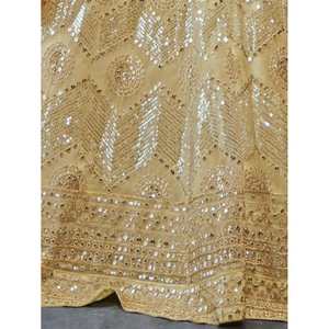 Magnifique pour la danse : Lehenga Choli en tulle à sequins et papillons, idéal pour les spectacles - Product Image 1