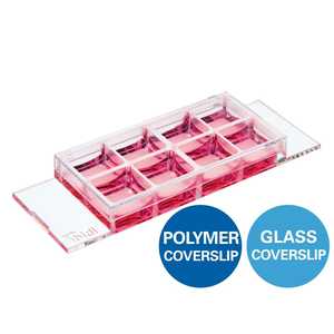 Thermo Scientific Nunc Lab-Tek 8-Well Tıbbi Cam Kapak Camı Kategori No. 155411 - Product Image 1