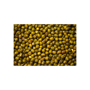 Haricots mungo propres et triés, commande en gros, légumineuses de qualité supérieure, offre d'exportation fiable - Product Image 4