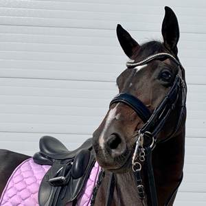 Meilleure nouvelle bride anatomique Bride anatomique en cuir de cheval - Product Image 5