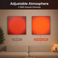 Lumière LED réglable pour la méditation, effet lever et coucher du soleil, art mural thérapeutique pour le bien-être, pour le salon