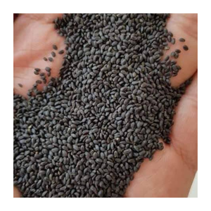 100% Semillas de albahaca natural Proveedor de Vietnam Exportación al por mayor para batidos de té de burbujas Postres Bebidas Pedido a granel - Product Image 3