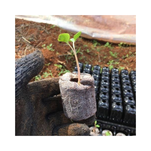 Noyau pur de noix de coco jiffy pour jardin de graines plantées fabriqué en vietnamien - Product Image 4