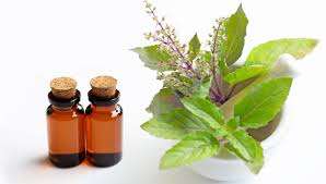 น้ำมันหอมระเหยจากใบโหระพาน้ำมันหอมระเหยกลิ่นธรรมชาติเกรดพรีเมี่ยม100% อินเดีย - Product Image 5