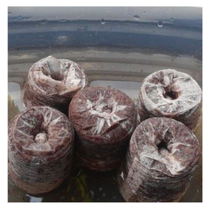 Pourquoi choisir Coir Jiffy? Les granulés de tourbe de coco du Vietnam offrent une croissance facile et naturelle pour les plantes et une agriculture durable - Product Image 1