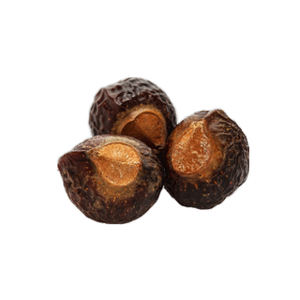 Herbojit International, Extracto Herbal de Reetha (Bola de Jabón India) 100% Puro de Alta Calidad, Extracción por Solvente, Suministro a Granel, Confiable - Product Image 4