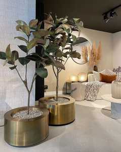 กระถางต้นไม้โลหะสีทองสไตล์เรียบง่าย ดีไซน์ทันสมัย เหมาะสำหรับบ้าน สำนักงาน และโครงการจัดสวนเชิงพาณิชย์ - Product Image 2