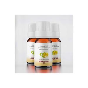 น้ำมันหอมระเหยอีลางอีลาง โปรคลิส 3 ขวด ขนาด 10 มล. แท้จากประเทศ TR - Product Image 1