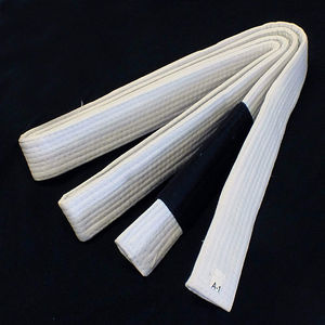 2024 nouveau gros Logo personnalisé broderie Arts martiaux ceintures Taekwondo karaté Judo BJJ karaté instructeurs vêtements - Product Image 3