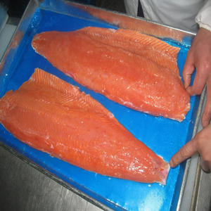 Salmón Atlántico Fresco Congelado de Alta Calidad 100%, Salmón Entero con Cabeza y Tripa Eliminadas, Promoción en Pescados de Calidad - Product Image 1