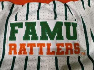 Camiseta Personalizada de Talla Grande de los FAMU Rattlers, Ropa Urbana Estampada y Bordada, Algodón Ecológico para Hombre y Mujer, OEM/ODM, Espíritu Universitario - Product Image 5