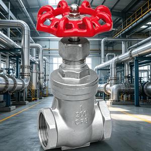 Vanne à opercule filetée en acier inoxydable CF8M DN15-DN100 PN10 PN16 - avec volant pour eau, huile, gaz - Product Image 4