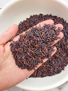 Riz noir à grains longs de qualité supérieure du Vietnam pour l'exportation, au goût riche et à une valeur nutritionnelle élevée - Product Image 2