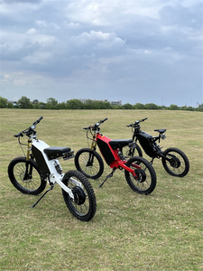 Vélo électrique tout-terrain SS30 3000W 48V avec moteur roue arrière, pneus larges 19 pouces, vitesse élevée 80 km/h, autonomie 80 km, en stock - Product Image 6