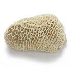 Venta al por mayor de carne seca y salada Omasum y Buffalo Offal / Halal Beef Omasum / Halal Omasum Frozen. - Product Image 1