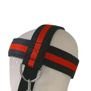 Arnés de cabeza de alta calidad hecho a medida Arnés de cabeza más vendido Arnés de cabeza de llegada caliente para venta en línea - Product Image 4