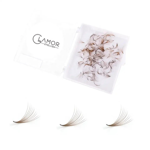 Haute qualité thermocollé 10d 0.05 Promade Fans couleur lâche Extension de cils coréen noir personnalisé OEM cheveux boîte de maquillage longue durée de LOGO - Product Image 5