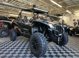 Prêt à être expédié : Teryx KRX 1000 Blackout Edition 2025 - Product Image 4