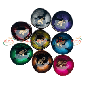 Bol en noix de coco artisanal moderne, de haute qualité, écologique, non toxique, finition minimaliste personnalisée, fournisseur direct du Vietnam, en gros - Product Image 6